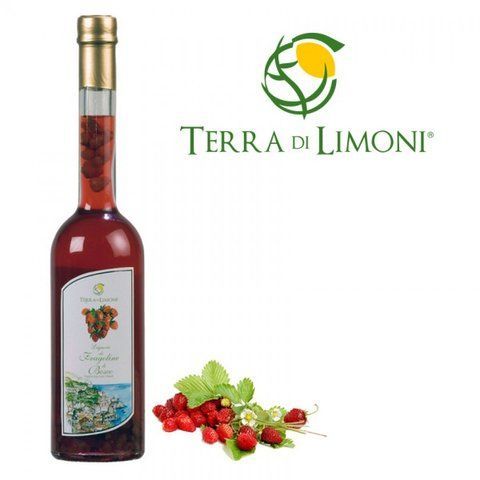 Lichior Fragoline di Bosco Terra di Limoni 30% 500ml