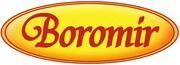 Boromir